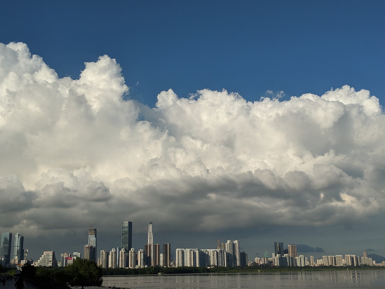 深圳湾公园