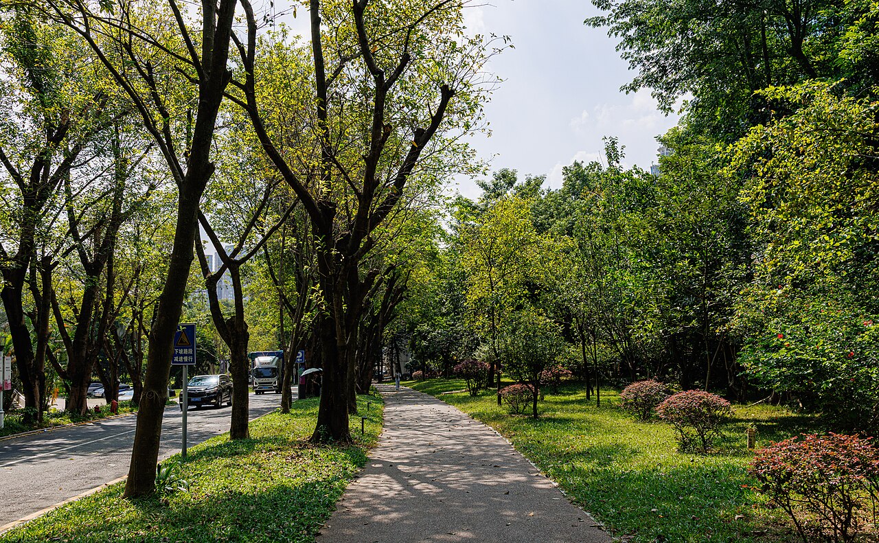 深圳大学